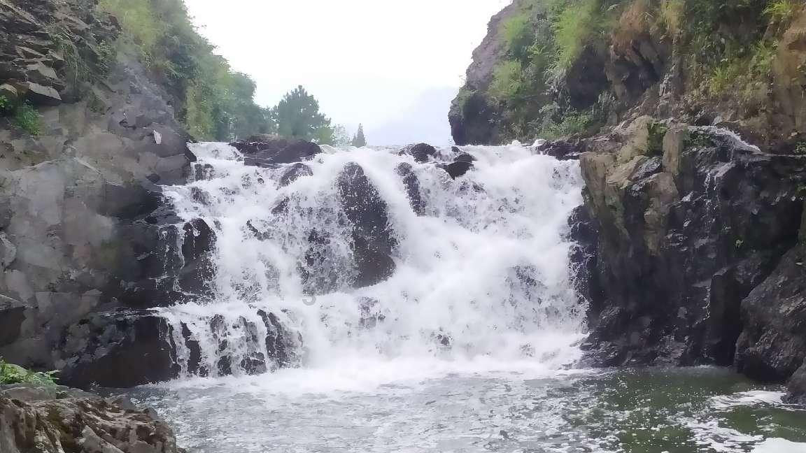 秋明拍花|漫步小巷,遇见“花姐”